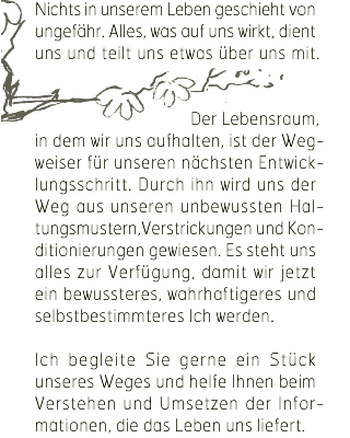 Till Schulze-Geisslers Entwicklungswerkstatt | Heilpraktiker und Coach | Heilung und Coaching Heiler Psychosomatik Bewusstsein kämpfe trage entschlossen Trauma Wegweiser Integration Auflösung Existenzängste jetzt